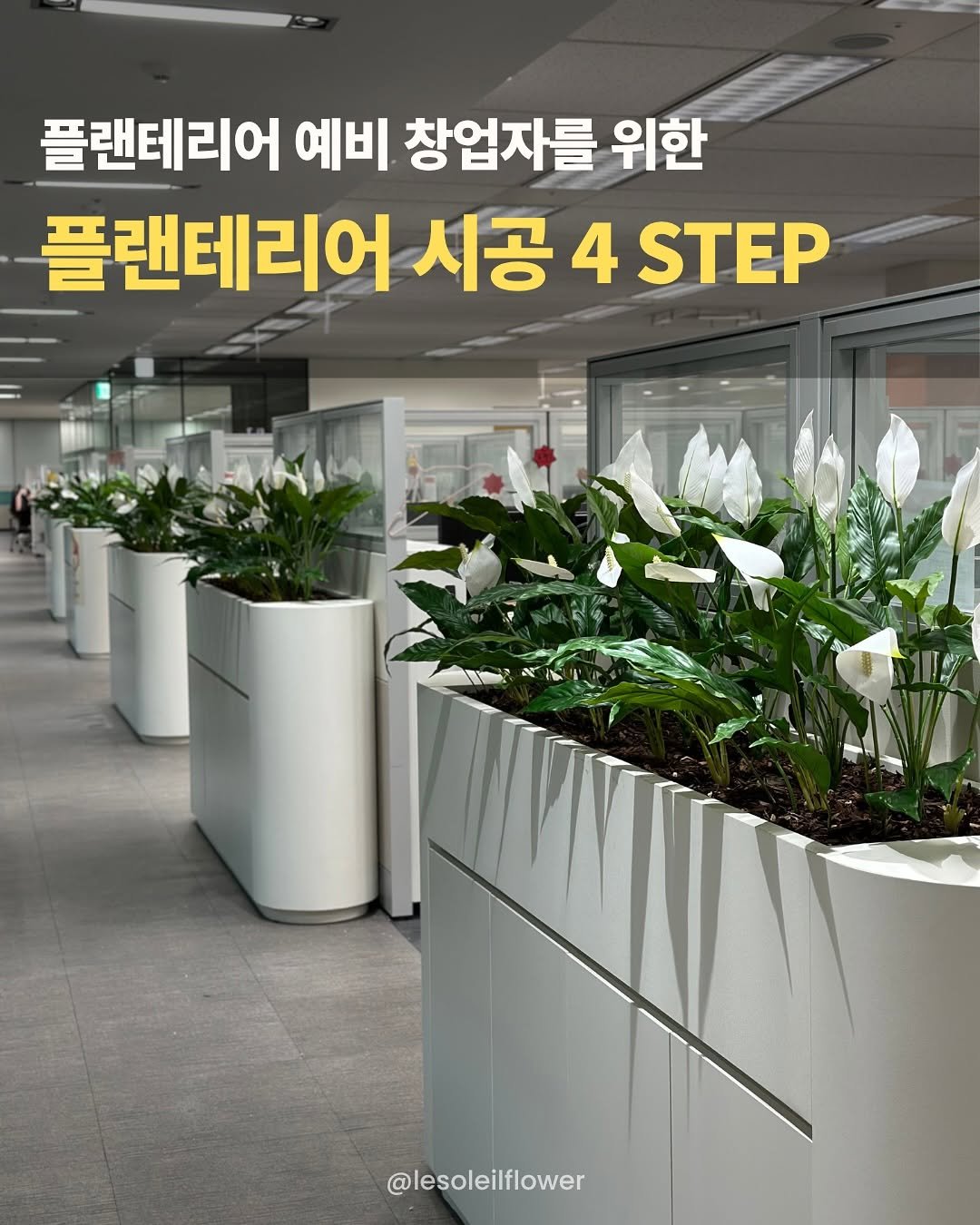 Photo shared by 르솔레유 | 조화 | 실크플라워 | 플랜테리어 창업컨설팅 on October 27, 2025 tagging @kpea.kr. May be an image of white lily, baby's-breath and text that says '플랜테리어 예비 창업자를 위한 플랜테리어 시공 4 STEP @lesoleilflower'.