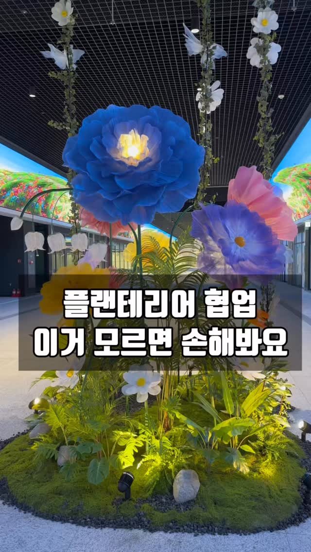 lesoleilflower 게시물 이미지: 플랜테리어 전문가가 알려주는 플랜테리어 노하우😉

플랜테리어 시장은 계속 커지고있고...