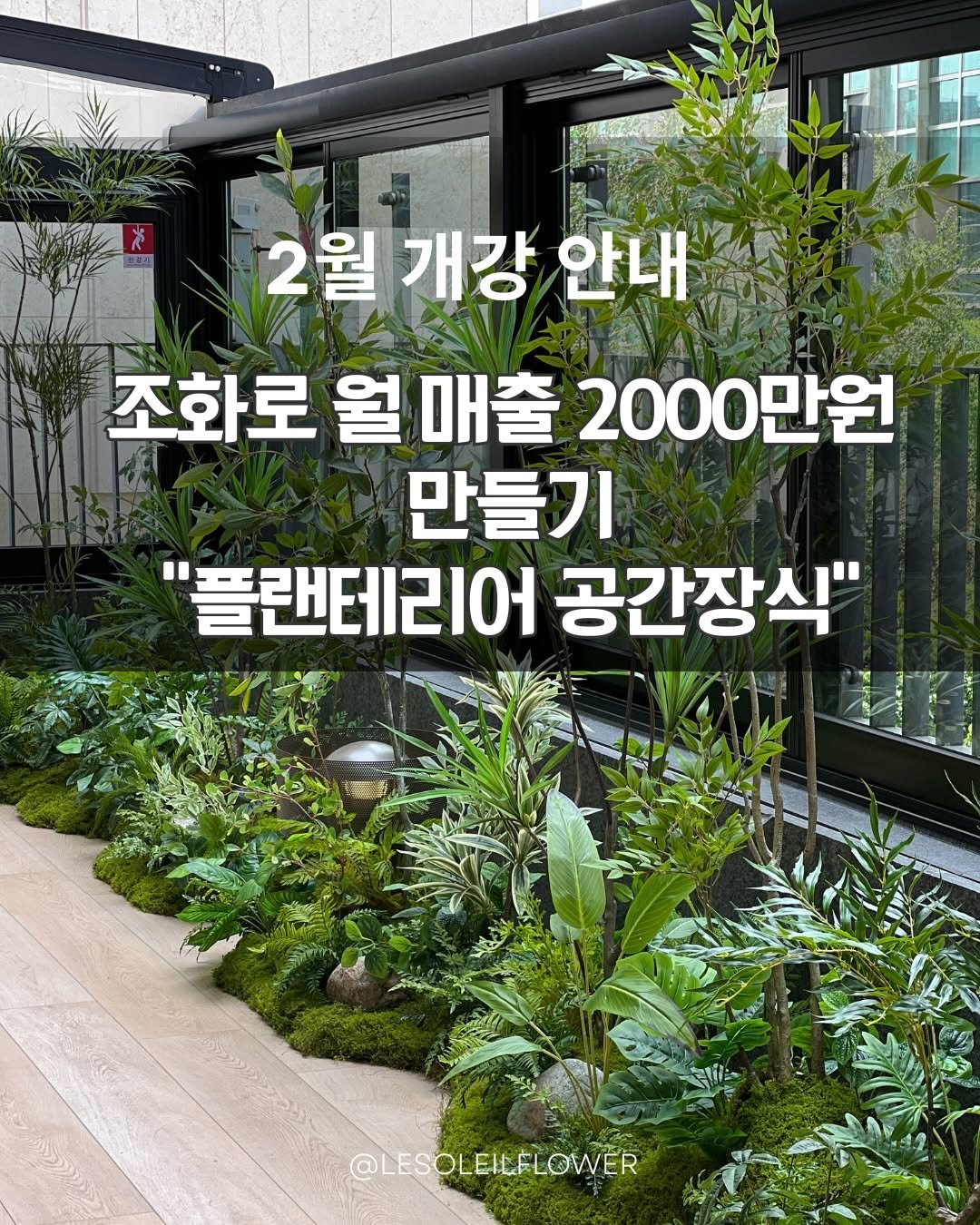 Photo by 플랜테리어 | 실크플라워 | 조화 창업컨설팅 on February 01, 2026. May be an image of plant and text that says '2월개강안니 2월 개강 안내 조화로 월 조화로월매출2000만원 매출 2000만원 만들기 플랜테리어 공간장식" @LESOLEILFLOWER'.