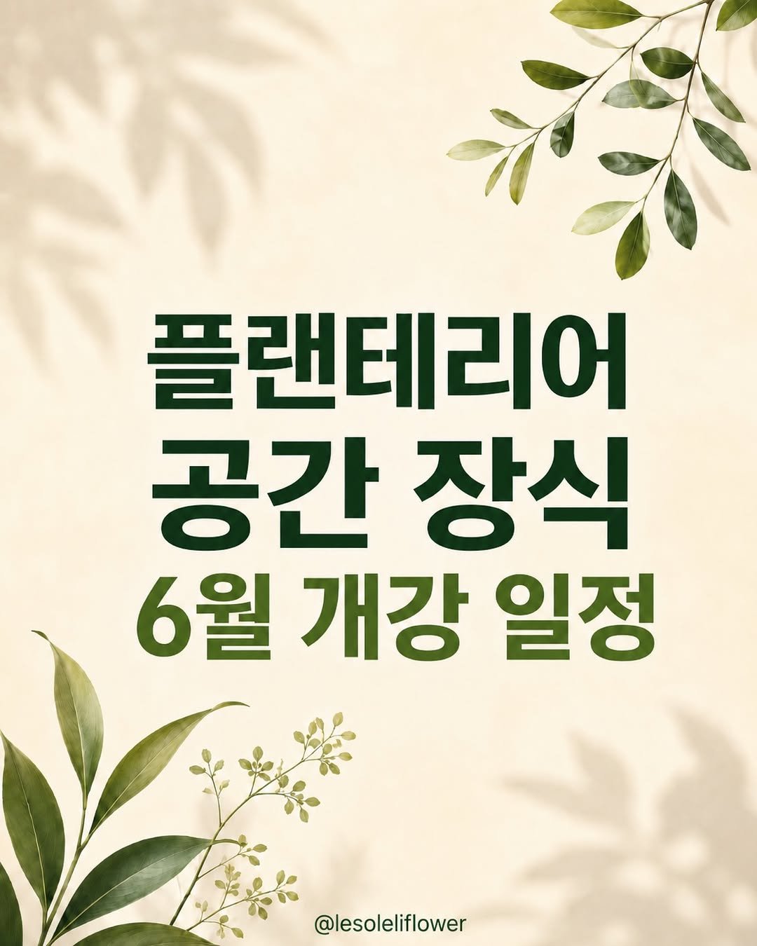 lesoleilflower 게시물 이미지: 조화 플랜테리어, 막상 시작하려고 하면 어디서부터 해야 할지 어렵죠.

식물은 어떤...