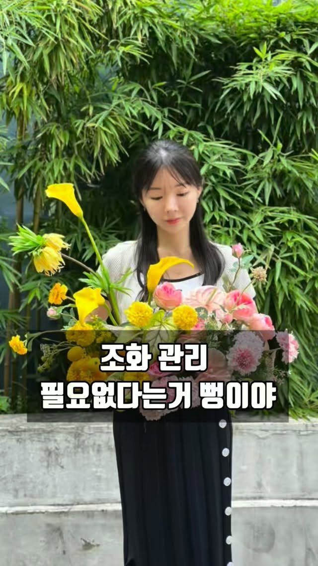 lesoleilflower 게시물 이미지: 조화 관리 전~~~혀 필요없다는 말, 사실 뻥이예요🤫

시들지 않고, 온도 영향...