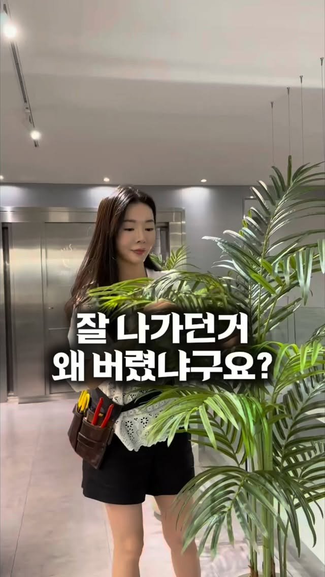 lesoleilflower 게시물 이미지: 잘 나가던거 왜 버렸냐구요?

저는 이 일을 하기 전에 
해외 꽃 유학도...