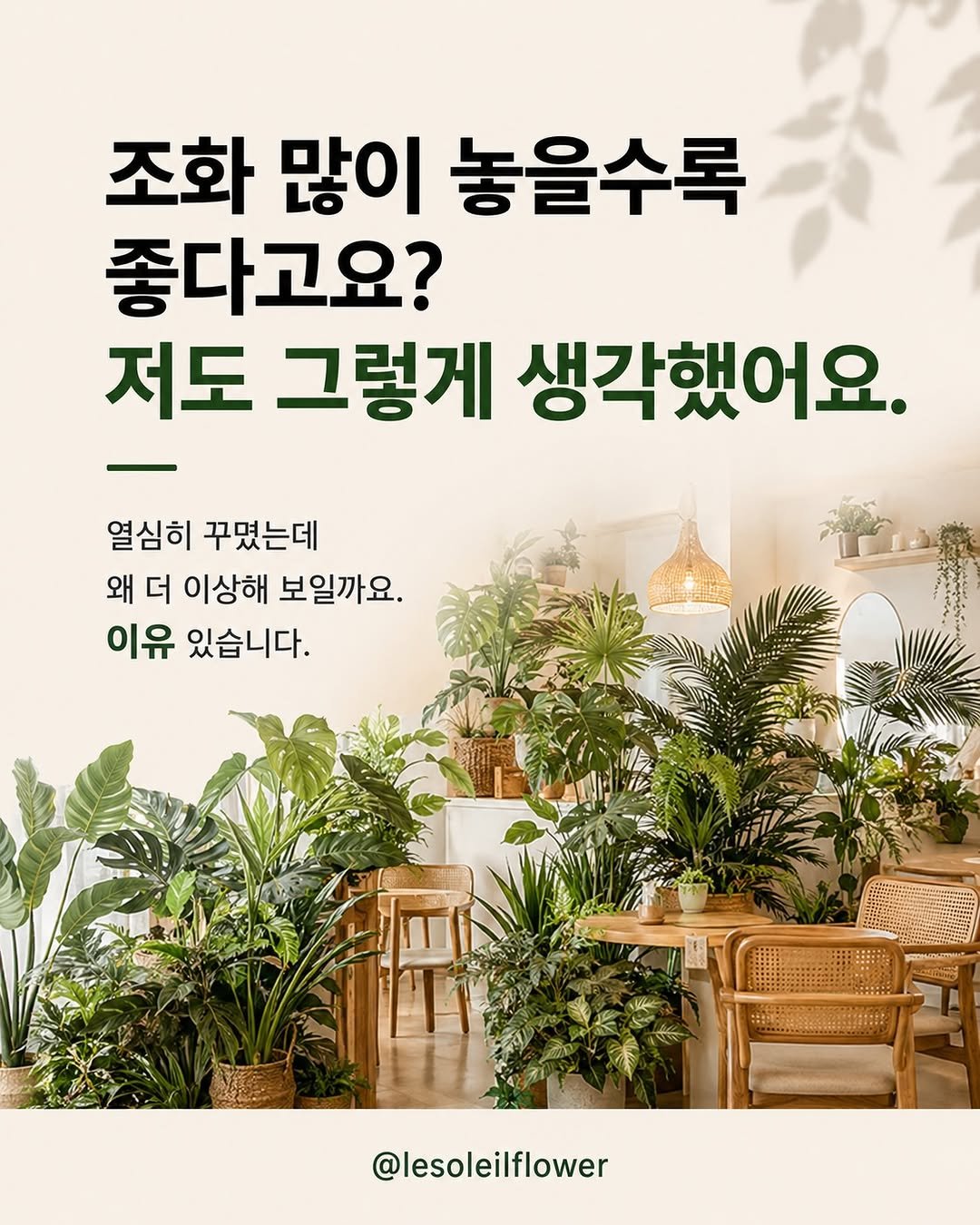 lesoleilflower 게시물 이미지: 조화 많이 놓을수록 더 예뻐질 줄 알았는데
오히려 공간이 답답하고 산만해 보였던 적...