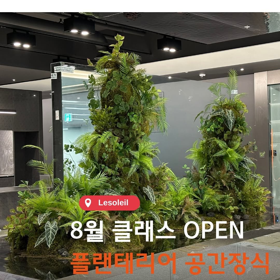 Photo by 르솔레유 | 조화 | 플랜테리어 창업컨설팅 | 가드닝클래스 on August 03, 2025. May be an image of text that says 'രிസ്ടി Lesoleil 8월 클래스 ΟΡΕΝ 플랜테리어 공간장식'.