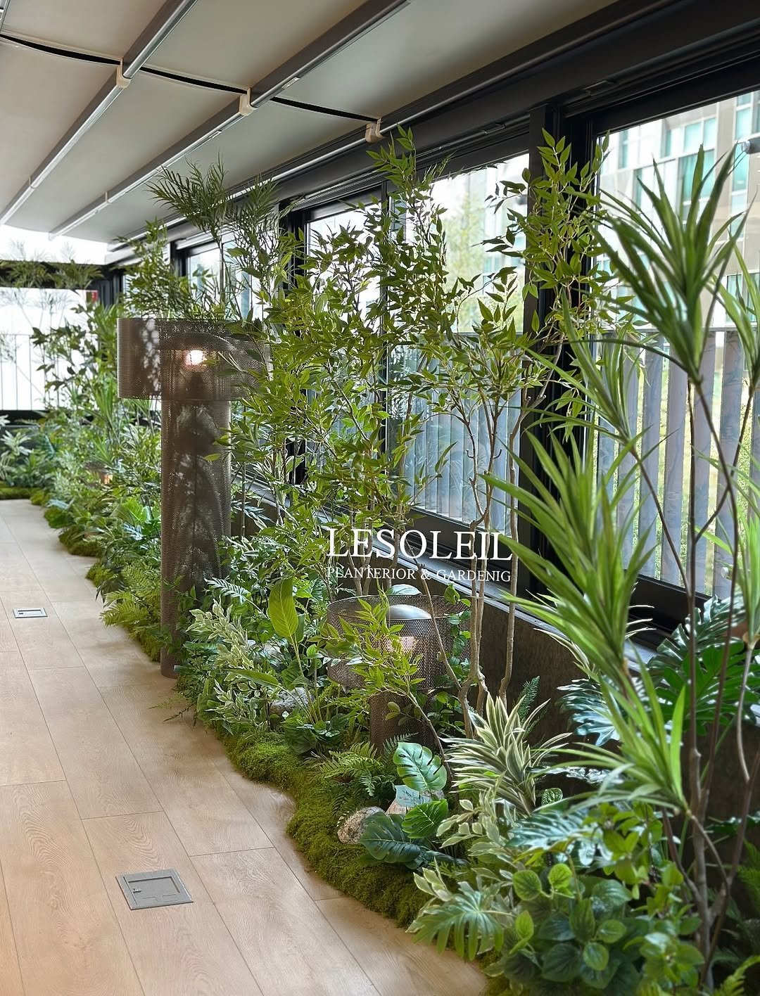 Photo shared by KPEA ㅣ 한국플랜테리어전문가협회 on September 11, 2025 tagging @lesoleilflower, and @disamobili_official. May be an image of house plant, mistletoe cactus and text.