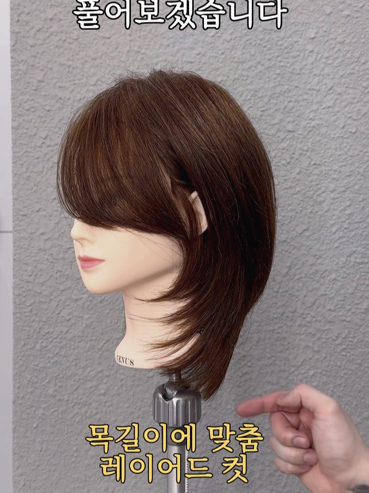 lesophi_100k 게시물 이미지: 다양한 레이어드의 형태

두상과 골격형태에 따라 변하는 아웃라인과 쉐입

기준을...