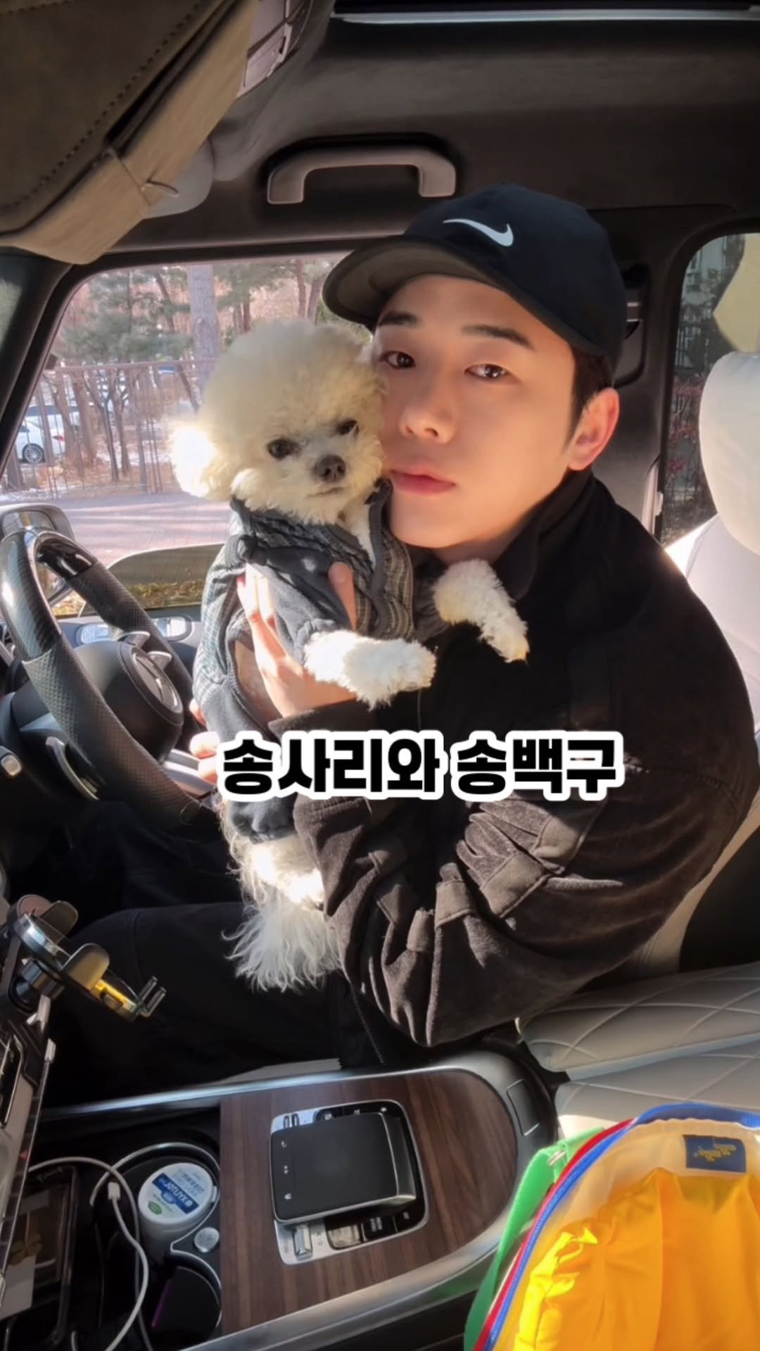 lesophi_100k 게시물 이미지: 매일 쉬는 날과 열심히 일하고 쉬는 날 차이?

매일 쉬면 정신적으로는...