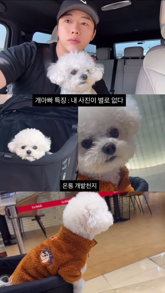 lesophi_100k 게시물 이미지: 