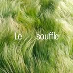 lesouffle.beaute 인스타그램 프로필 사진