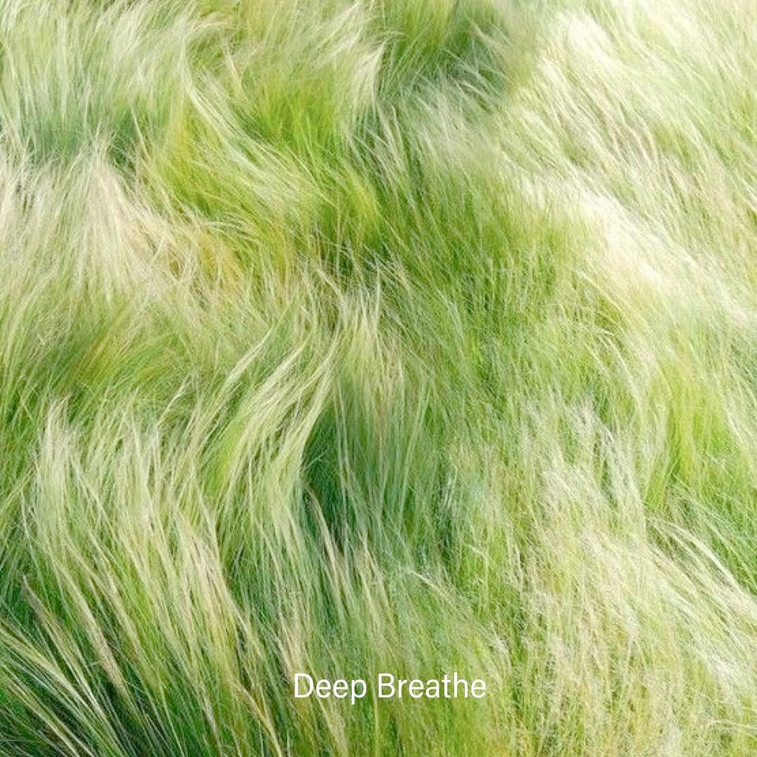 lesouffle.beaute 게시물 이미지: ⠀
깊은 호흡과 이완만으로
얼굴 속 감춰진 아름다움이
자연스럽게 드러난다.