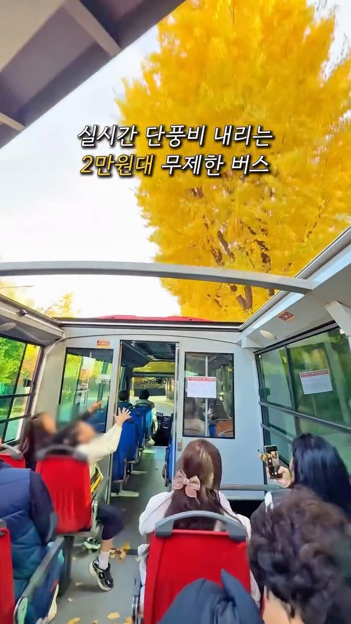 letsgo_hazel 게시물 이미지: (저장필수) 올해 가을 찐찐찐 막차 제대로 탈사람~?!🍁🍂

같이 가고 싶은...