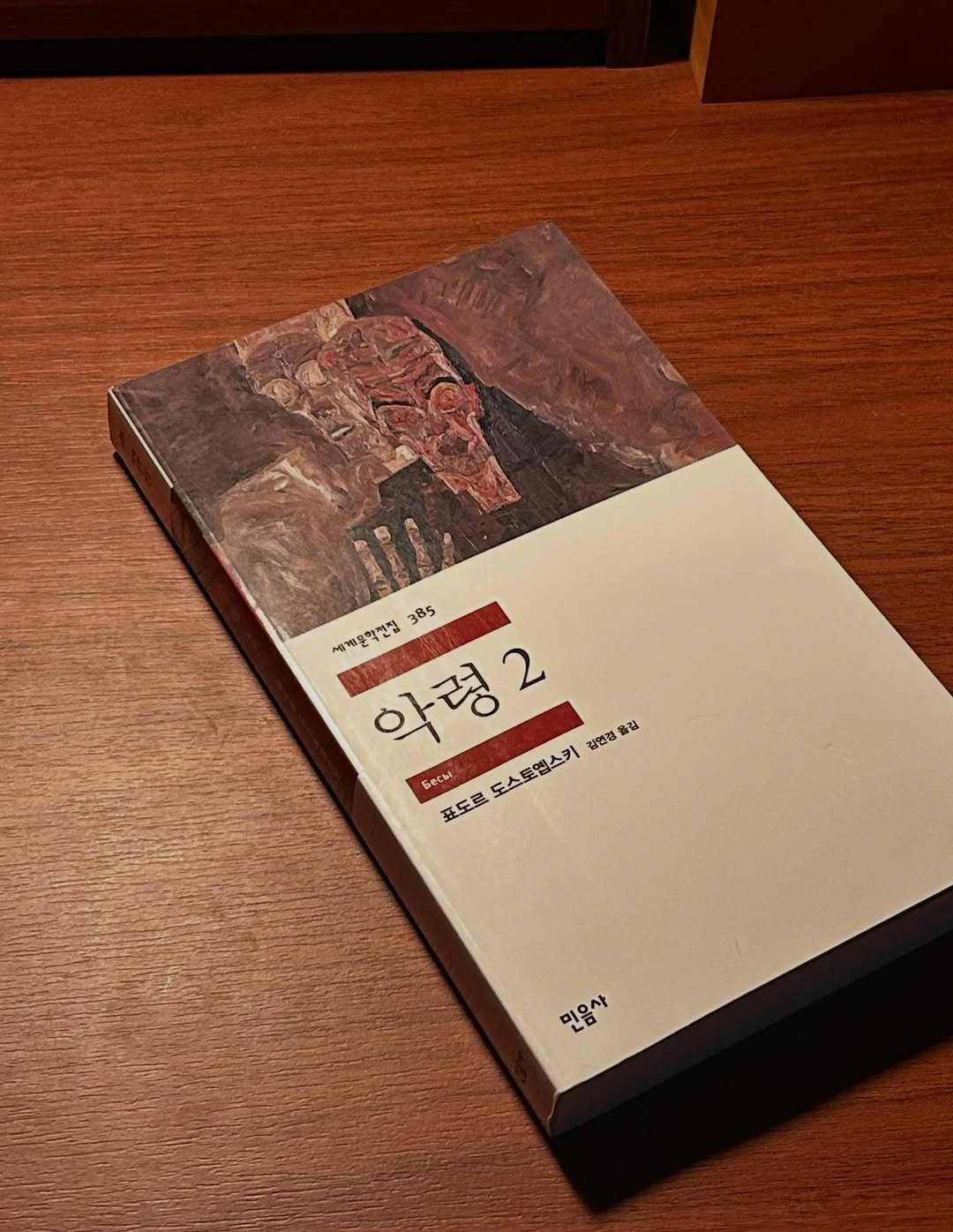 Photo by 혜리 on December 24, 2025. May be an image of book and text that says 'B 385 새게문학번정 악령2 김연경 龍 6ecbl 포도로 도스토엠스키 도스토앱스키 미은 미은사 LD 사'.