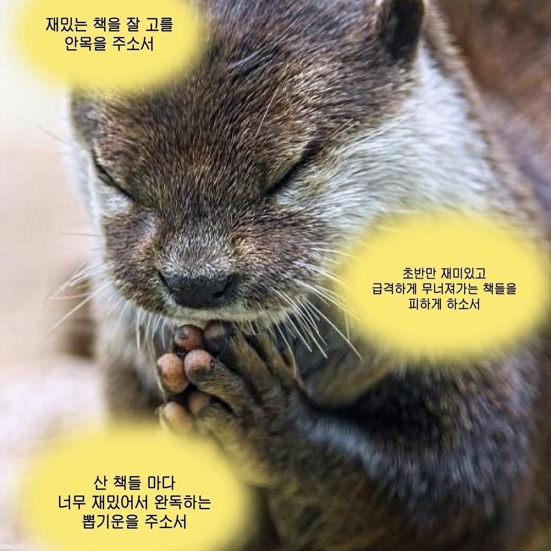 Photo by 혜리 on December 24, 2025. May be an image of otter and text that says '재밌는 책을 개밋는책을잘고를 잘고를 고를 잘 안목을주소서 안목을 주소서 초반만 재미있고 급격하게 무너져가는 책들을 피하게 하소서 산책들마다 산 책들 마다 너무 재밌어서 완독하는 뽑기운을 주소서'.
