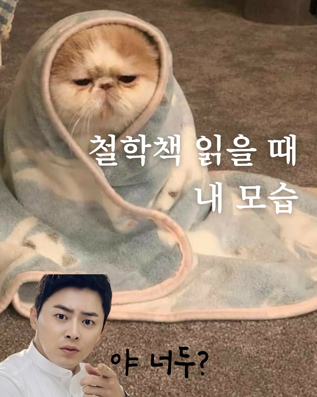 Photo by 혜리 on September 26, 2025. May be an image of 1 person, Persian cat and text that says '철학책 읽을 읽을때 때 내모습 모습 내'.