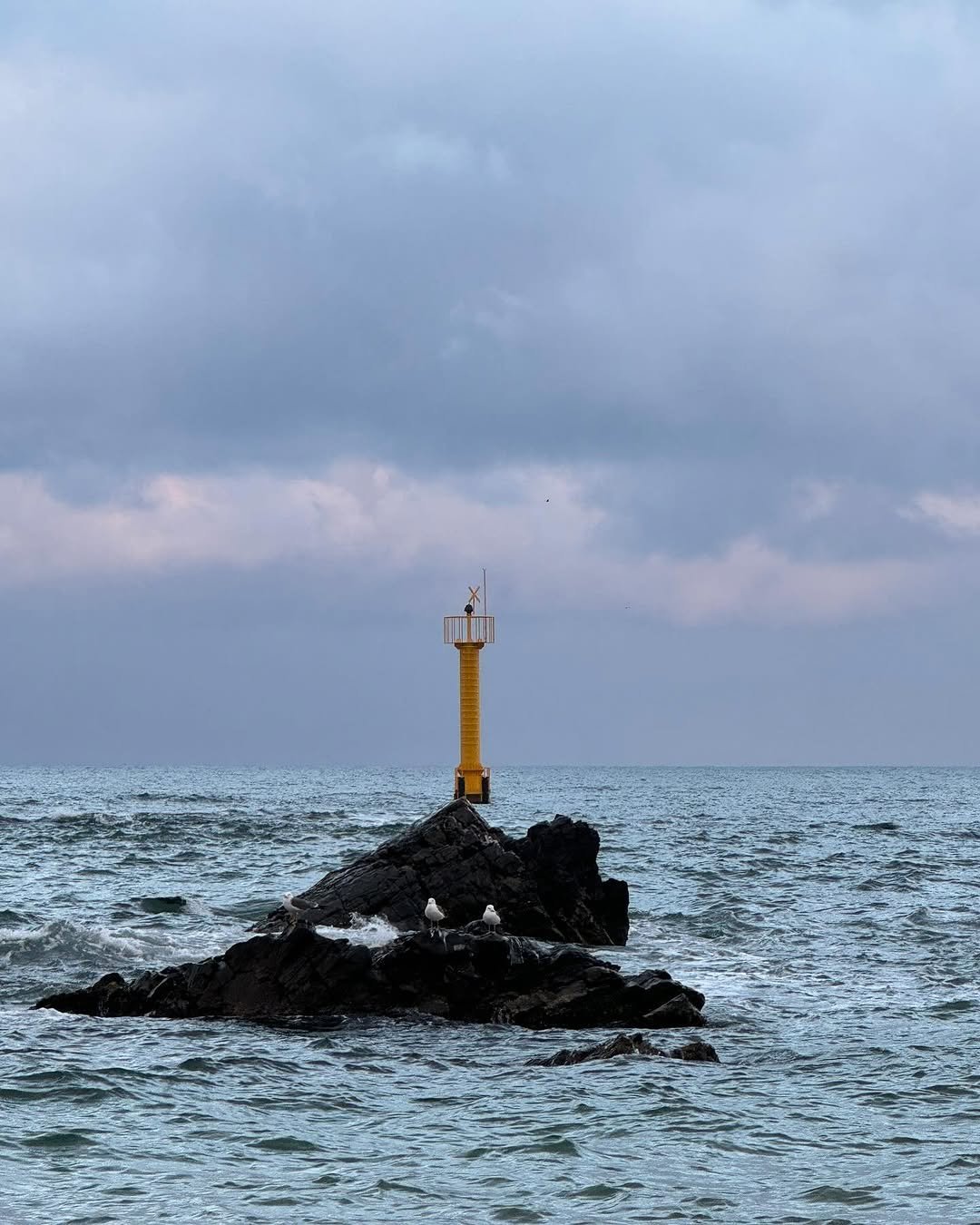 lhyllic 게시물 이미지: 힐링 잔뜩 하고 온 날 🌊