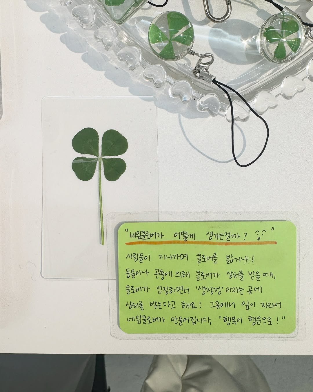 lhyllic 게시물 이미지: 행복ગ 행운으로.ᐟ