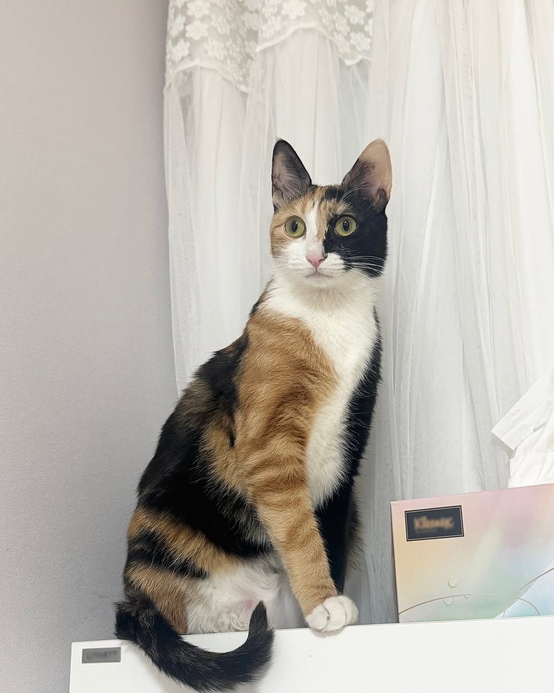 Photo by 하연 on April 29, 2025.