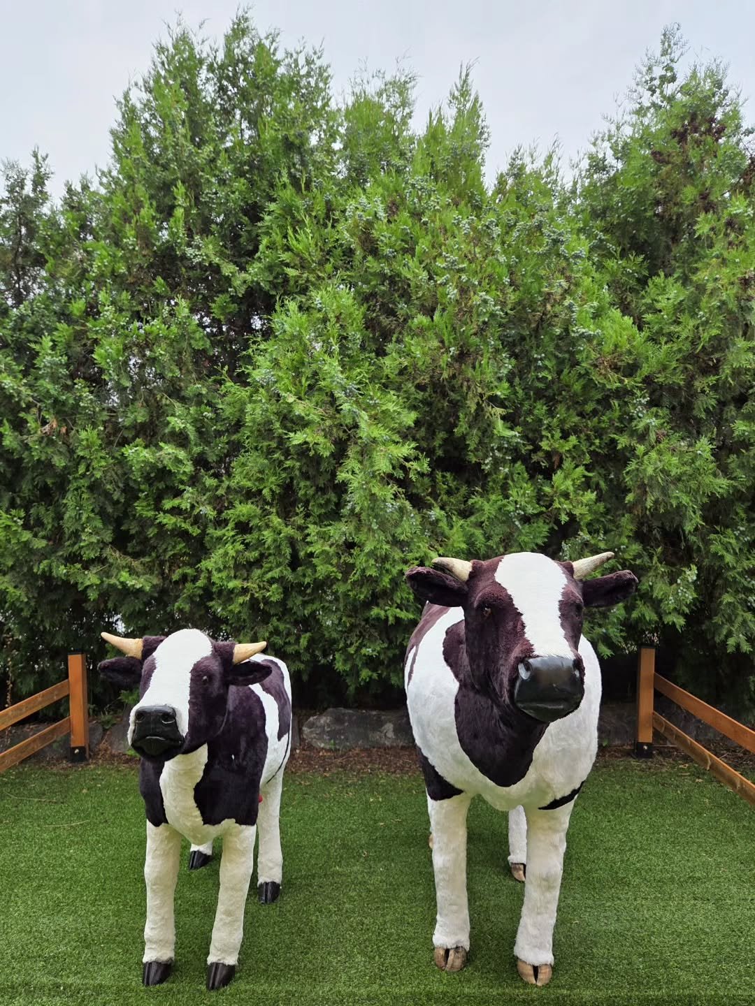 lia___h12 게시물 이미지: 목장에 다녀왔어요!🐄🌿
⠀
이곳은 다른 목장과 먹이 주는 체험은 같지만
다른 점은...