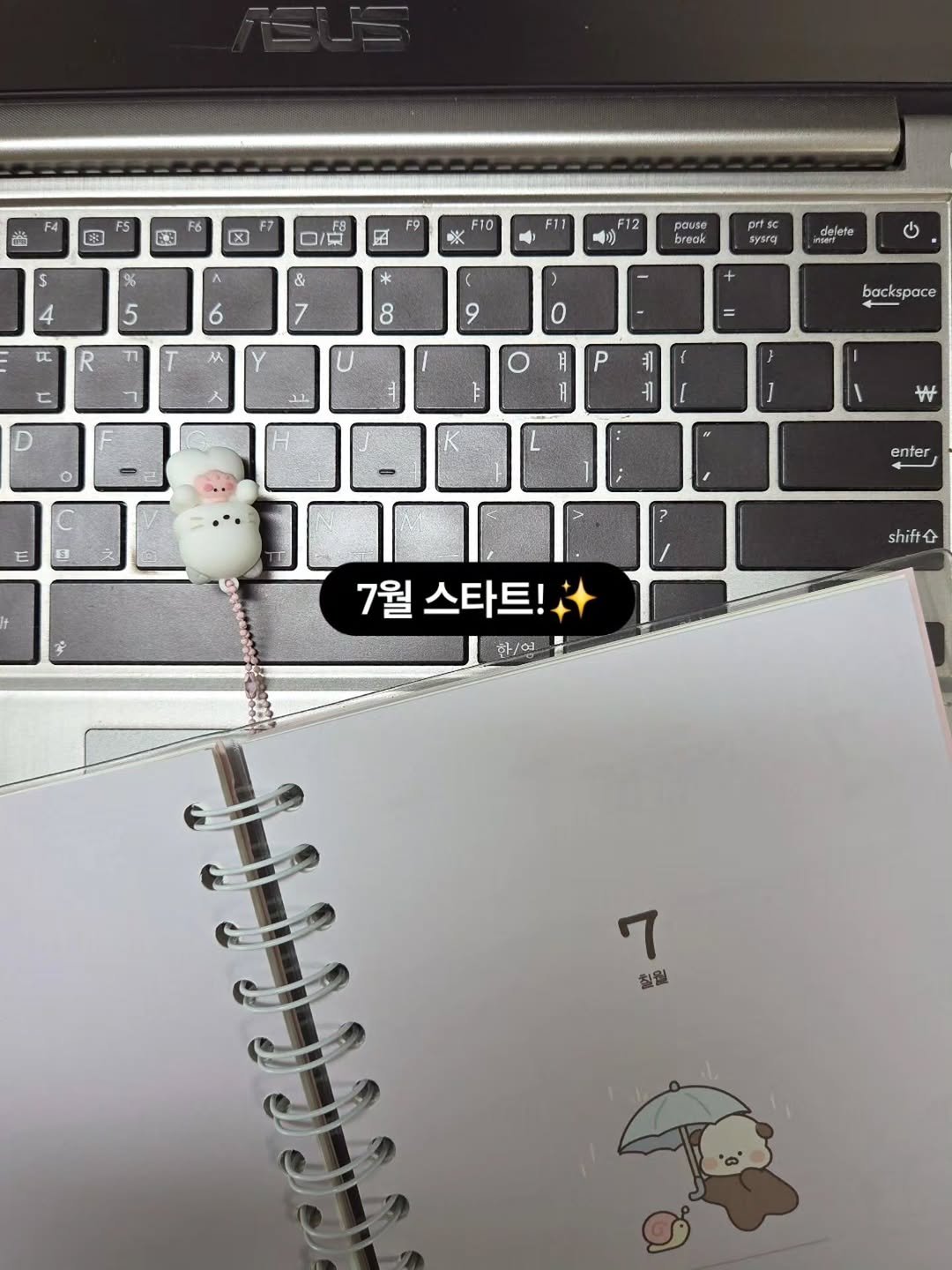 lia___h12 게시물 이미지: 7월의 시작! 오늘도 집에서🌿
⠀
6월 안 쓰는 블로그로
차곡차곡 모아둔 걸로
동생...