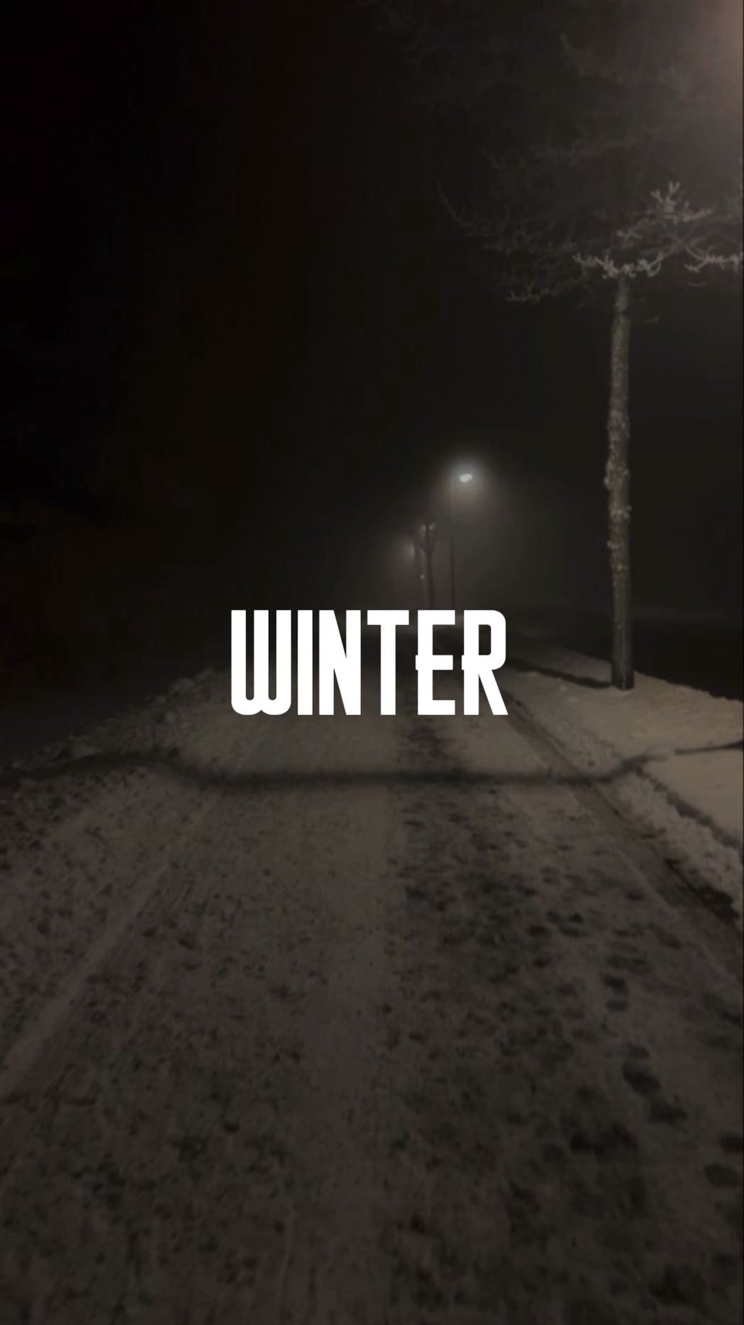 lidiculus 게시물 이미지: 이제 곧 가을이고, 겨울이 온다.
여름의 열정은 지나가고
찬 바람이 너의 의지를...