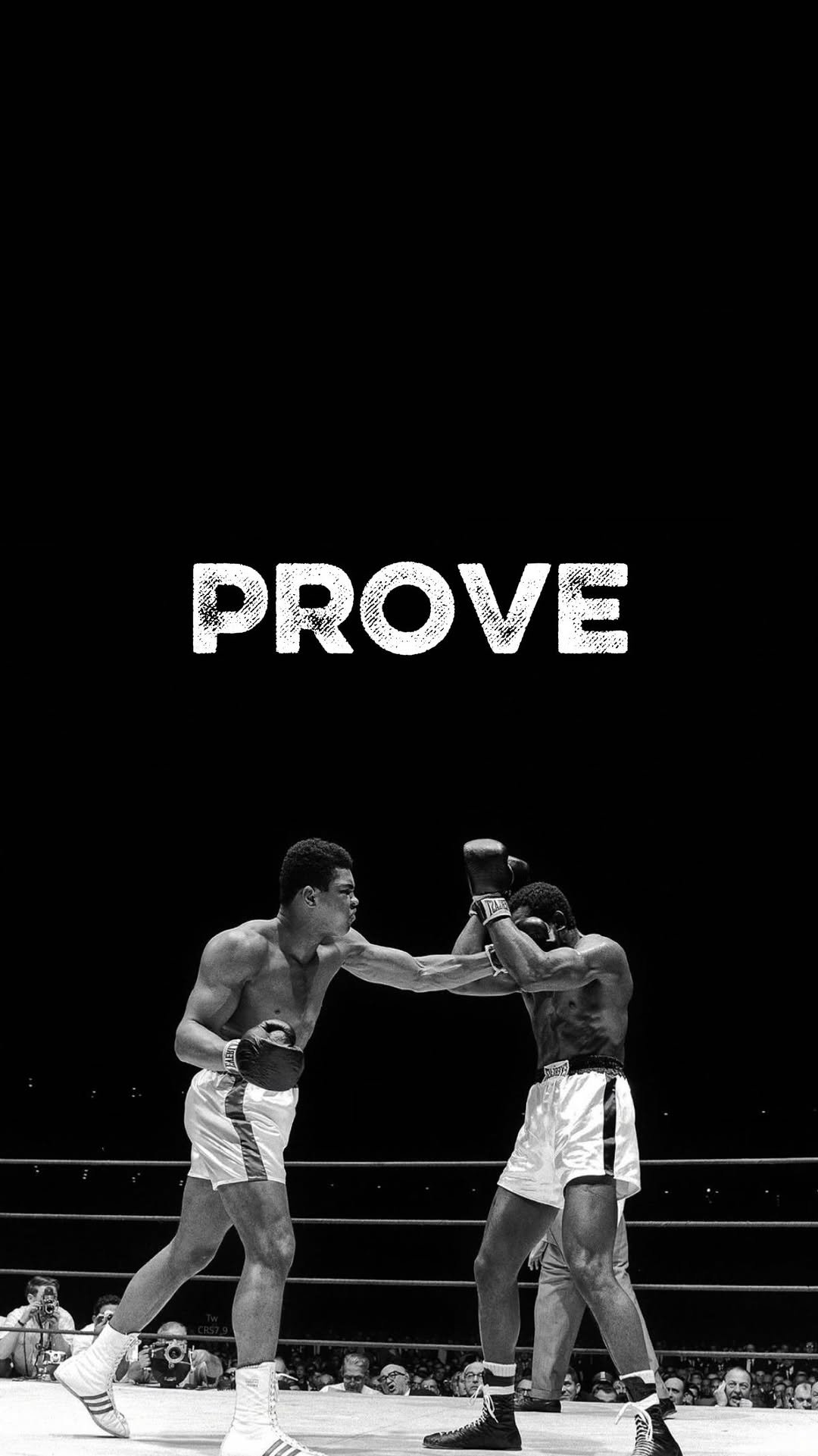 lidiculus 게시물 이미지: 변명하지 말고 증명해라.

말 대신 결과로 말해라.

불안한 눈빛보다
단단한...