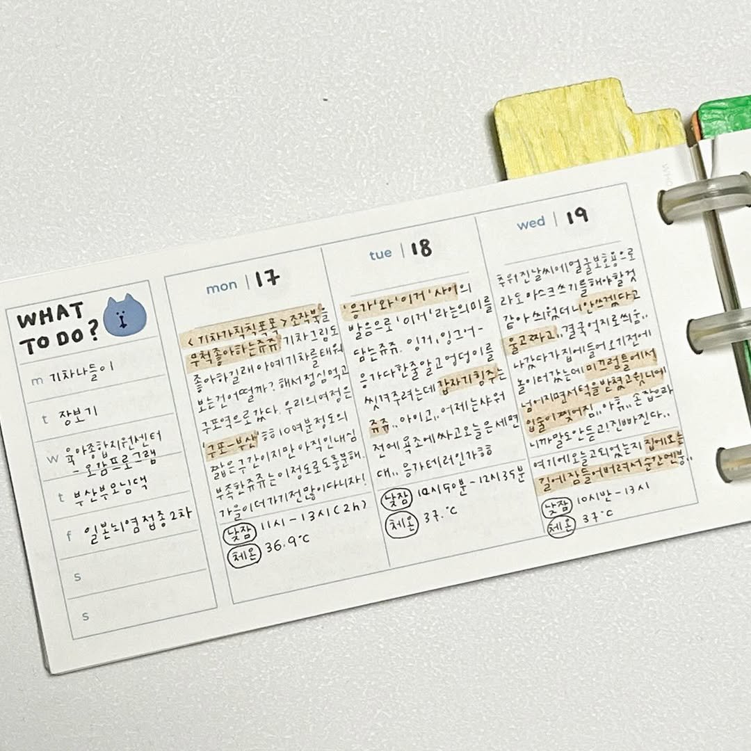 Photo shared by 루비킴 on November 30, 2025 tagging @__ti_me, and @mushroom_paper_farm. May be an image of diary, calendar and text.