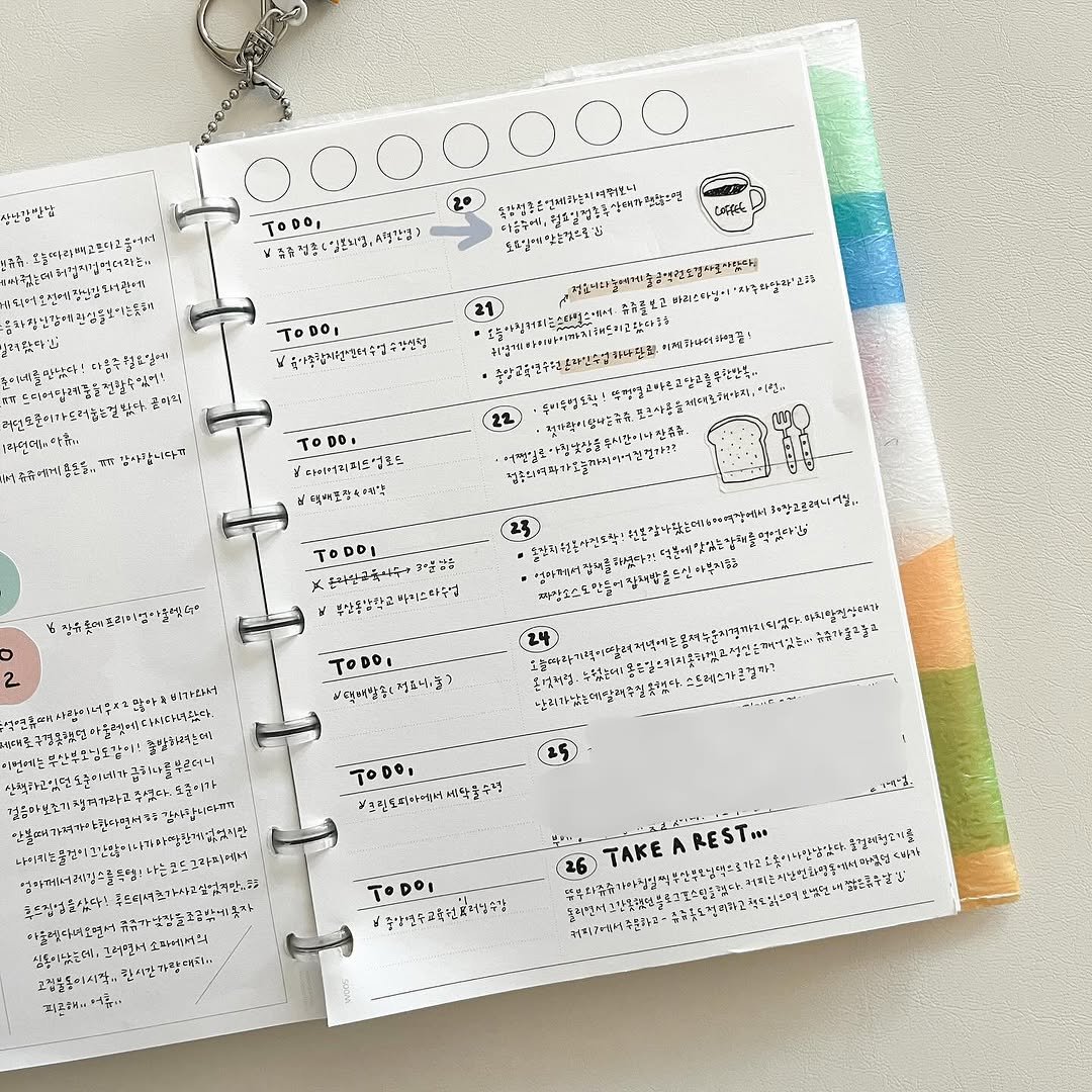 Photo shared by 루비킴 on October 31, 2025 tagging @y3ong_diary, and @mushroom_paper_farm. May be an image of diary, calendar, binder, pencil case, clipboard and text.