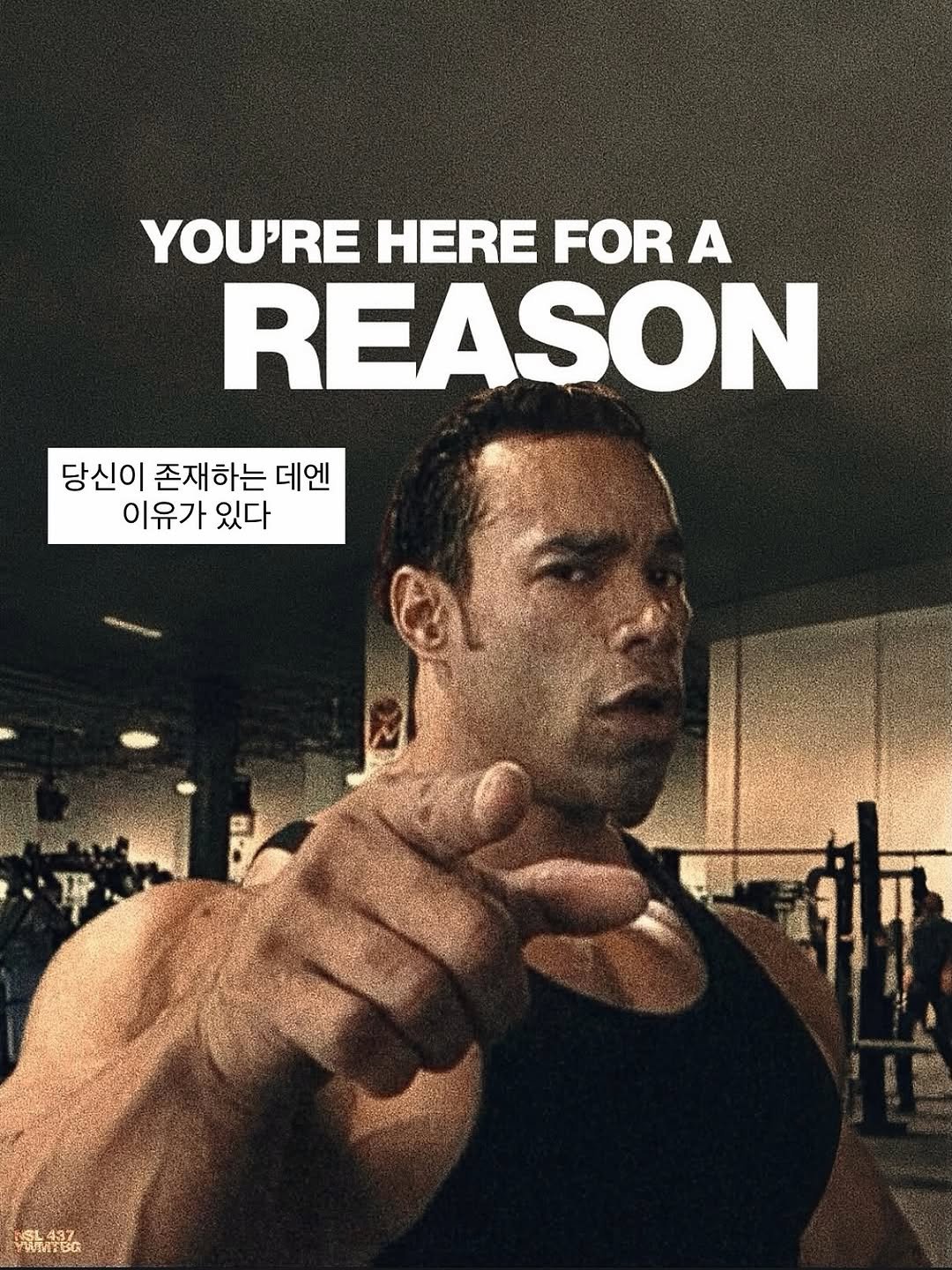 Photo by 라이프핵 마인드셋 on October 27, 2025. May be an image of one or more people, biceps, people bodybuilding, magazine, poster and text that says 'YOU'RE HERE FOR A REASON 당신이 존재하는 데엔 이유가 있다 한437'.