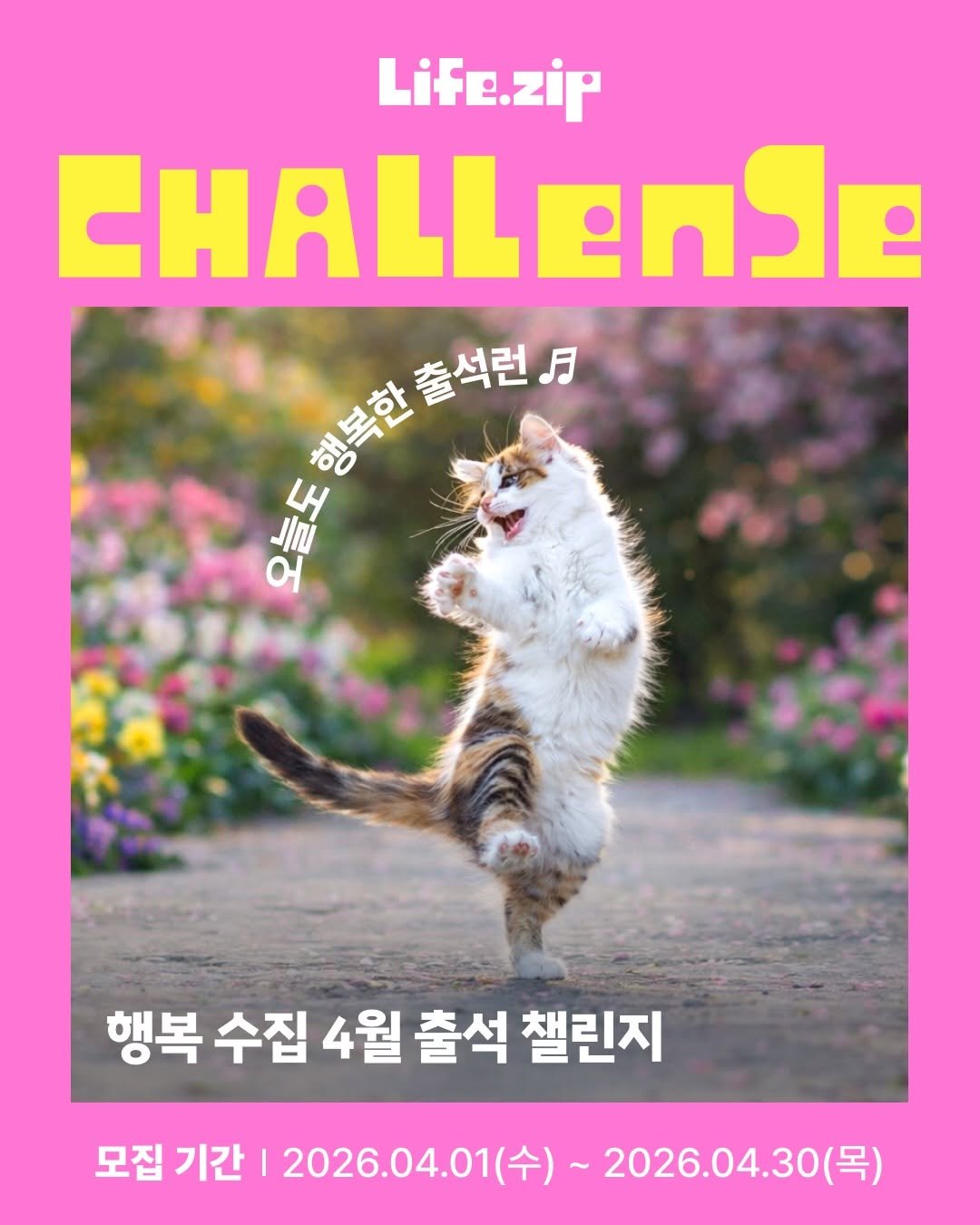 Photo by 라이프집 on March 31, 2026. May be an image of Norwich terrier, poster and text.