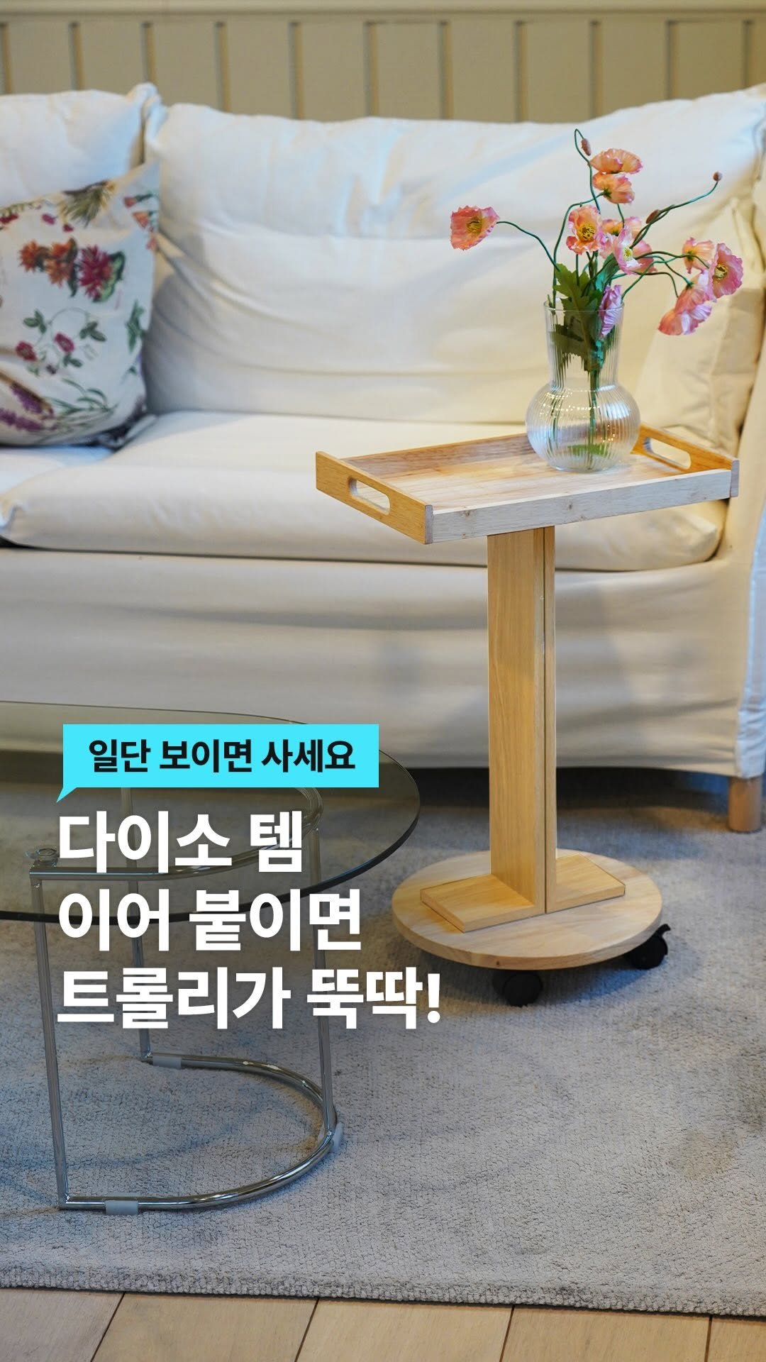 lifezip_kr 게시물 이미지: #다이소 고무나무 삼총사, 너희 #트롤리 로도 재능있어🫢

눈에 띄면 무조건...