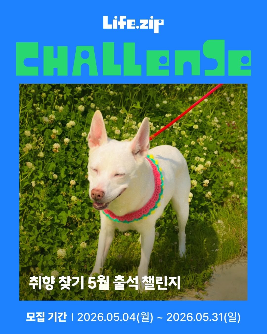 lifezip_kr 게시물 이미지: 매일 출석 응모 꾹 누르고
나도 몰랐던 새로운 취향을 찾아 떠나는 출석...