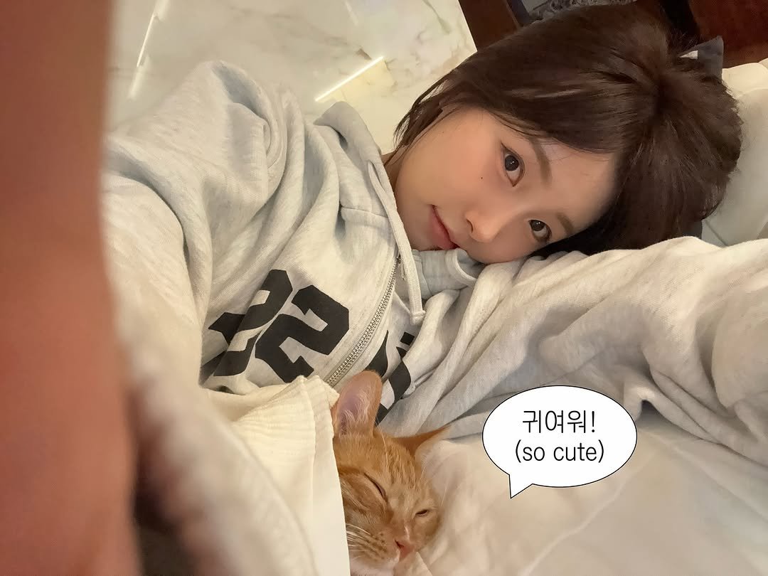 Photo by 리향 on October 14, 2025. May be an image of sleeping, kitten, pie and text that says 'ಜು 귀여워! (so cute)'.