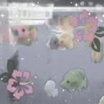 dear.xaxee 프로필 사진