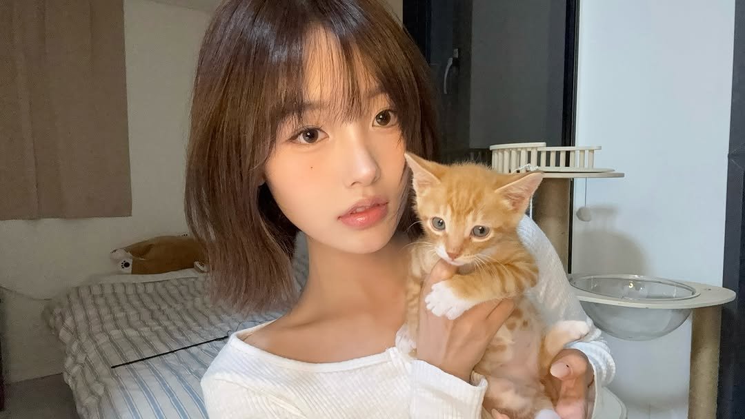 Photo shared by 리향 on October 30, 2025 tagging @kongxkong.zip. May be an image of one or more people, hair, Abyssinian cat, kitten and text.