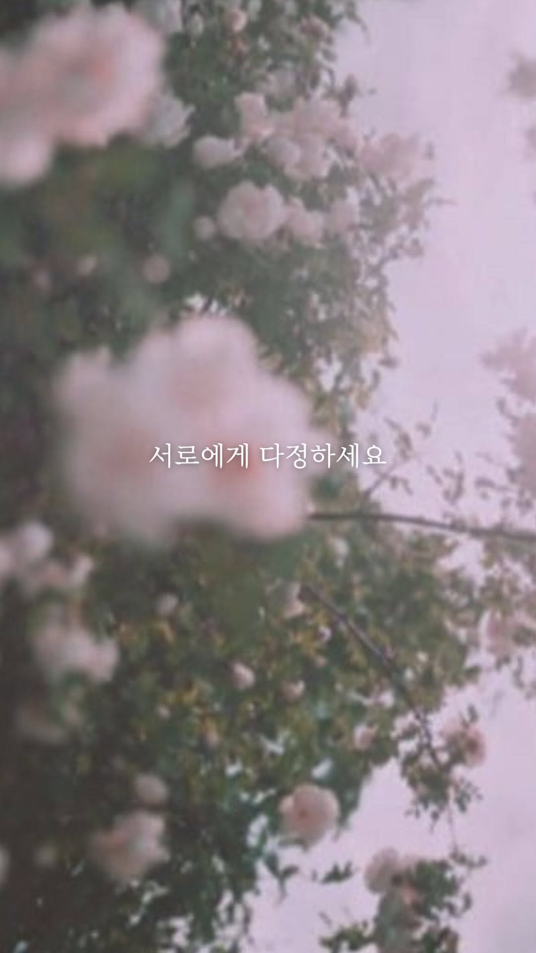 like2hye 게시물 이미지: 사랑이 두려운 계절이라
더 많은 다정이 필요하고
더 잦은 사랑이...