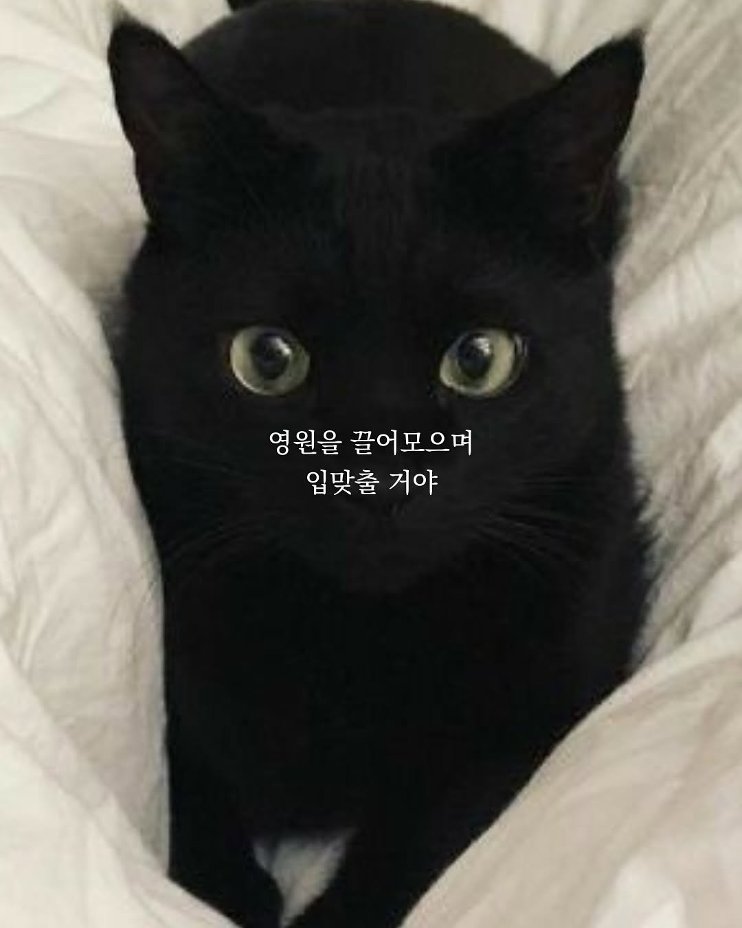 Photo by 이혜로움 | 사유크리에이터 on April 01, 2025.