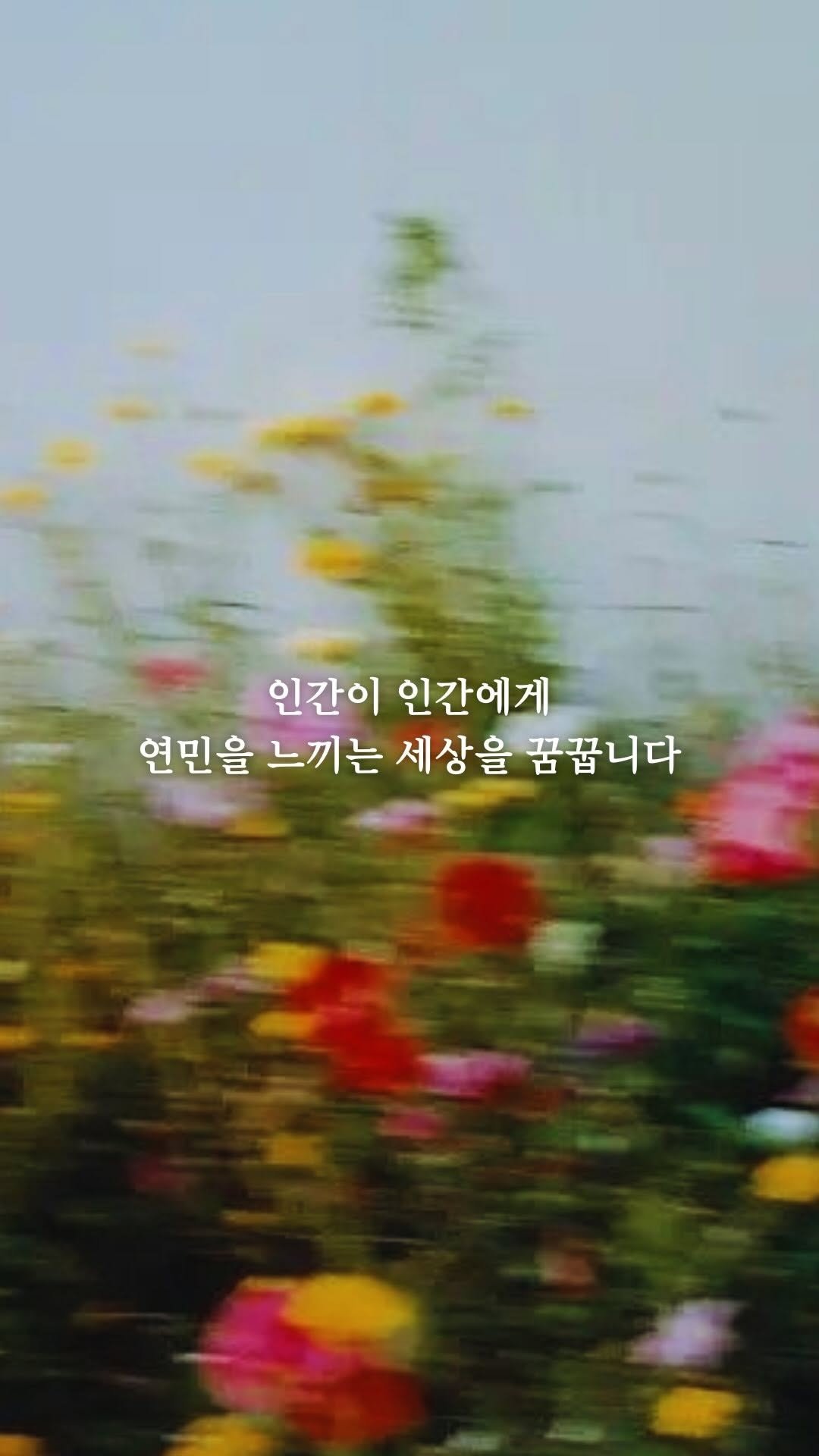 like2hye 게시물 이미지: 연약한 사람은 시니컬하고
용감한 사람은 다정하다

상대가 나를 상처줄 지라도
회복할...