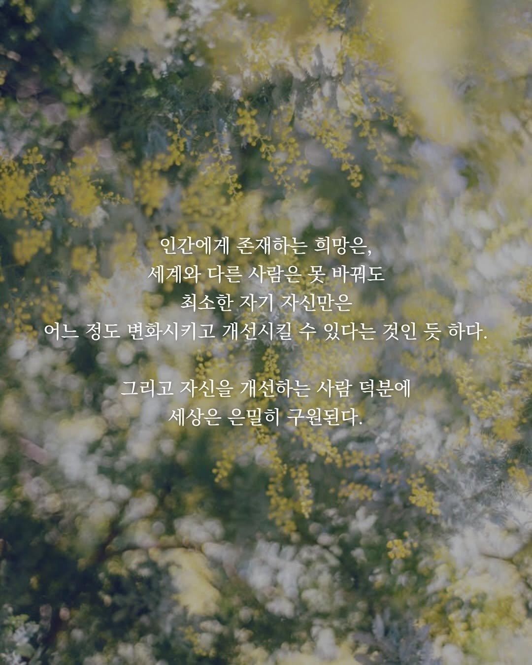 like2hye 게시물 이미지: 세상은 좀처럼 달라지지 않아
제자리만 도는 날이 많지

그 와중에도, 누군가는...
