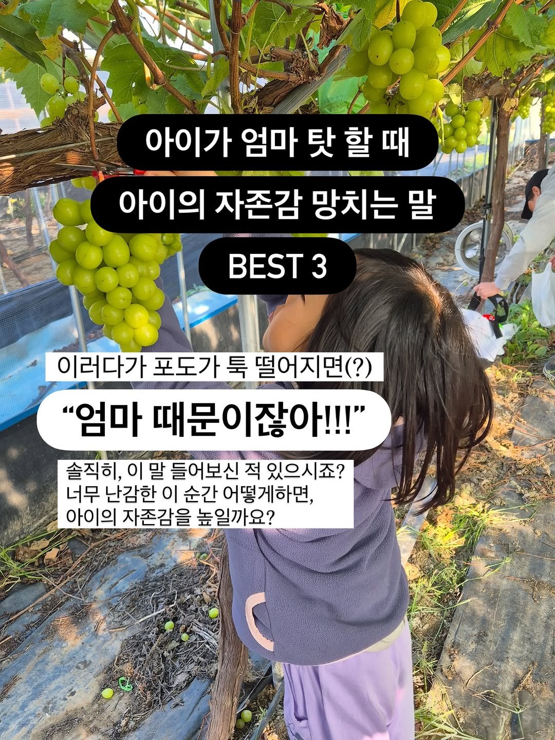 Photo by 릴라쌤 | 박다해 👩🏻‍🏫 16년차전문가 on November 03, 2025. May be an image of text that says '아이가 엄마 탓 할 탓할때 아이가엄마탓할때 때 아이의 자존감 망치는 말 พก 3 이러다가 포도가 툭 떨어지면(?) "엄마 때문이잖아!!!" 솔직히, 이말 들어보신 적 있으시죠? 너무 난감한 이 순간 어떻게하면, 아이의 자존감을 높일까요? C'.