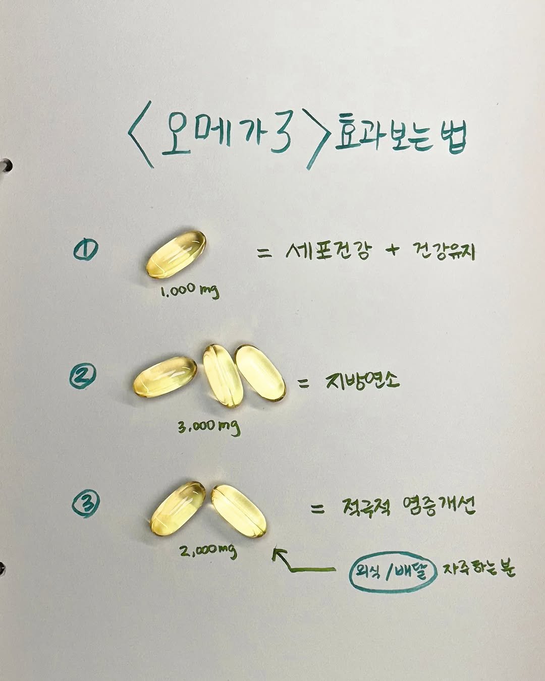 lilly_yaksa 게시물 이미지: ✅ 프로필링크의 오메가3는 월요일 마감됩니다 :)

🖐️오메가3를 먹어도 효과를...