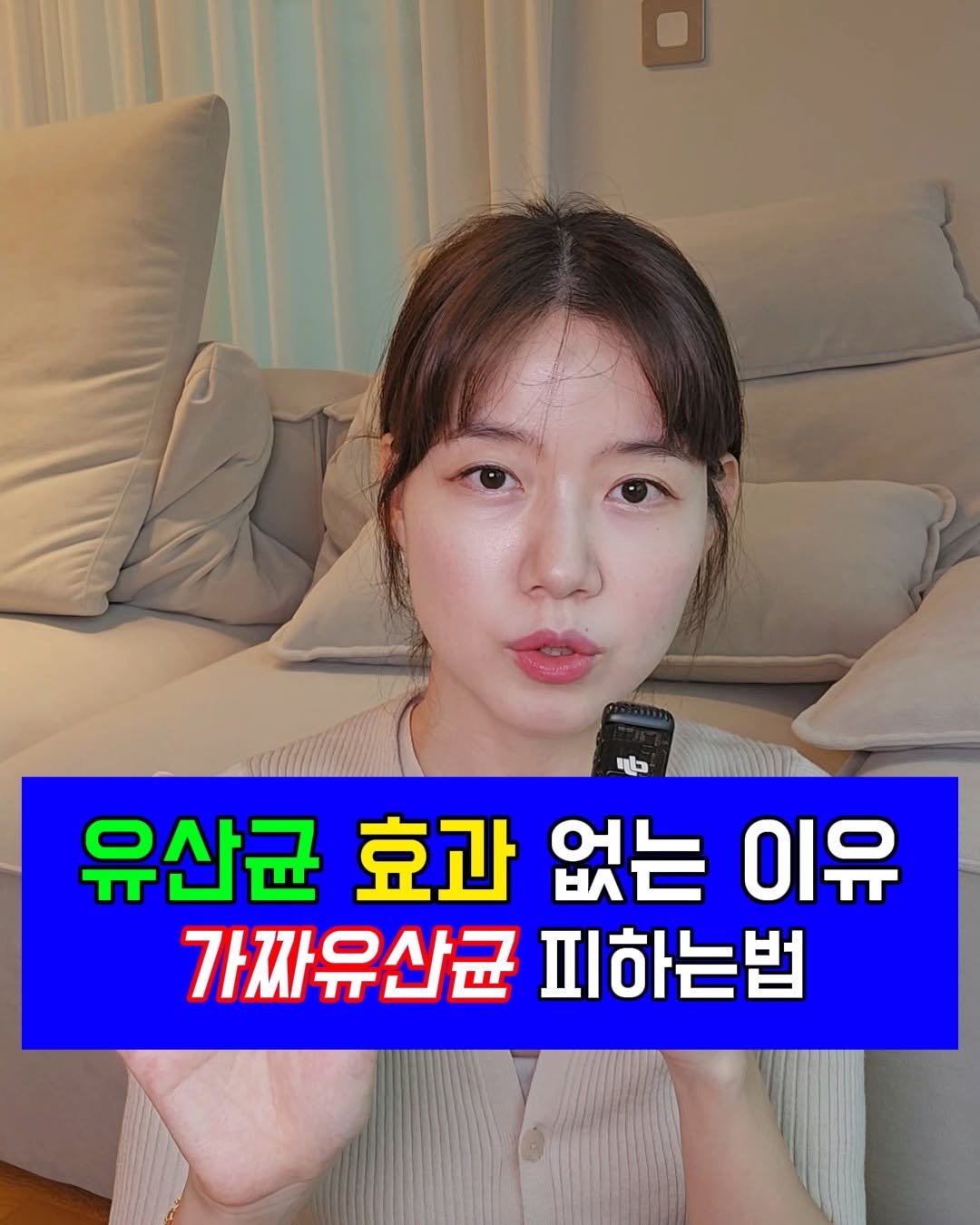 유산균