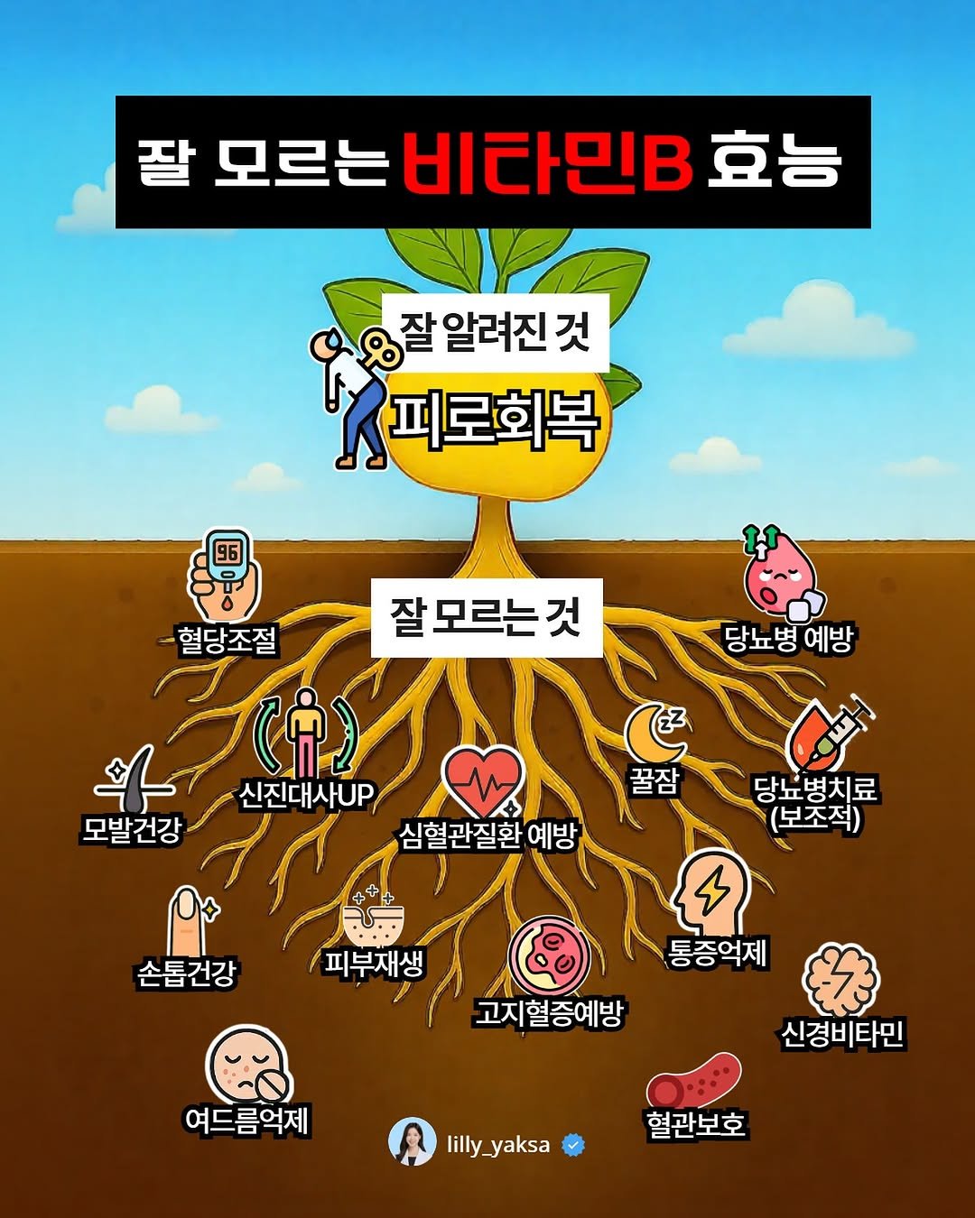Photo by 릴리 김소정 | 염증과 호르몬에 진심🩵 on August 13, 2025. May be a cartoon of poster and text that says '잘 모르는 비타민B 모르는비타민B. 효능 잘 잘 알려진 것 피로회복 96 혈당조절 잘 모르는 것 당뇨병예방 당뇨병 예방 牛 모발건강 (ሐ 신진대사UP, 심혈관질환 예방 꿀잠 당뇨병치료 (보조적) 손톱건강 피부재생 통증억제 고지혈증예방 여드름억제 신경비타민 lilly lilly_yaksa _yaksa 혈관보호'.