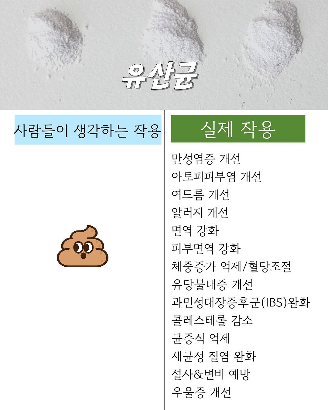 Photo by 릴리 김소정 | 염증과 호르몬에 진심🩵 on September 23, 2025. May be an image of pie and text that says '유산균 사람들이 생각하는 작용 실제 작용 만성염증 개선 아토피피부염 개선 여드름 개선 알러지 개선 면역 강화 피부면역 강화 체중 체중증가 증가 억제/ 덕제/혈당조절 유당불내증 개선 과민성대장증후군( IBS완화 완화 콜레스테롤 감소 균증식 억제 세군성 질염 완화 설사&변비 예방 우울증 개선'.