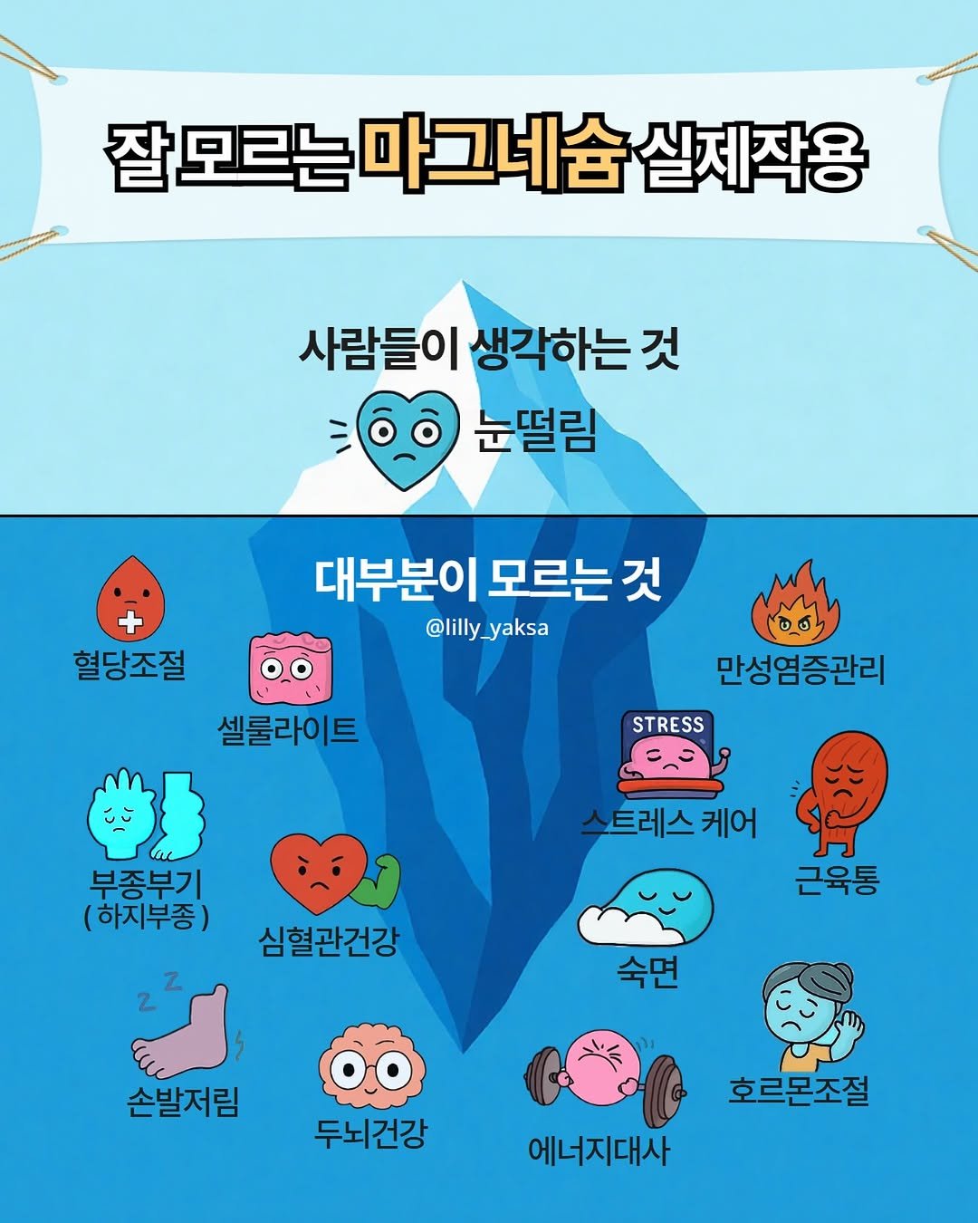 Photo by 릴리 김소정 | 쉽고 정직한 건강정보 on February 16, 2026. May be an illustration of poster and text that says '잡모르는마그네슘실제작용 잘 모르는 마그네슘 실제작용 사람들이 생각하는 것 눈떨림 혈당조절 대부분이 모르는 것 @lilly_yaksa @lilly yaksa 셀룰라이트 만성염증관리 STRESS 부종부기 (하지부종) 스트레스케 케어 심혈관건강 근육통 숙면 손발저림 두뇌건강 호르몬조절 에너지대사'.