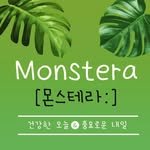 monstera_nomad 프로필 사진