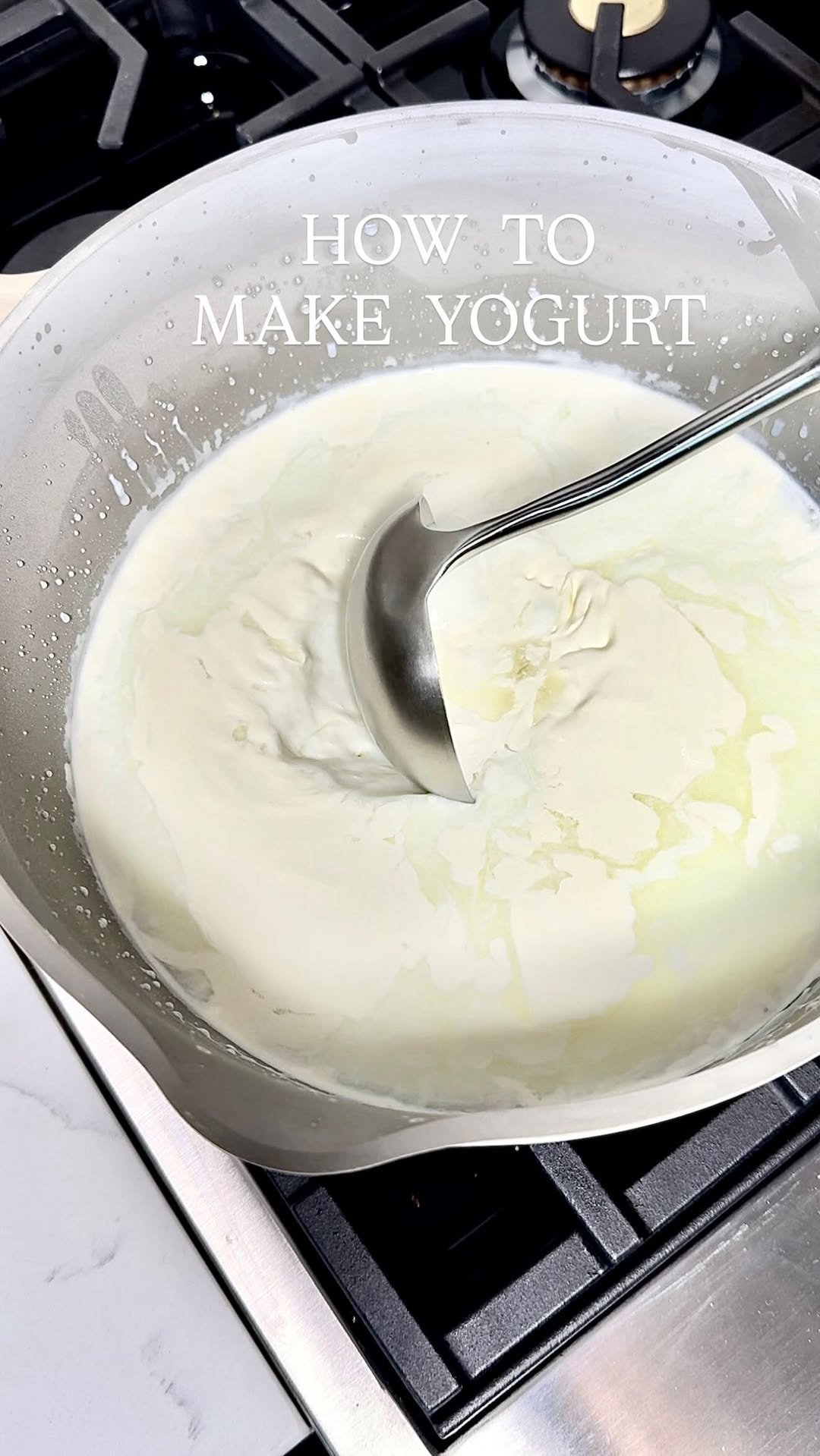 lilsipper 게시물 이미지: @lilsipper Homemade Yogurt (🚫no special...