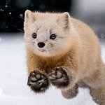 kimudori 프로필 사진