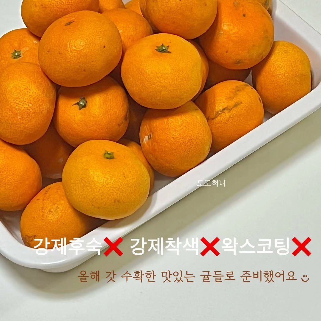 limi0829 게시물 이미지: 🍊제주 감귤 특가 Open♥
 
귤하면 제주귤이죠 ◡̈
제주 서귀포 효돈 위미의...