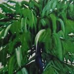 gominsi 프로필 사진