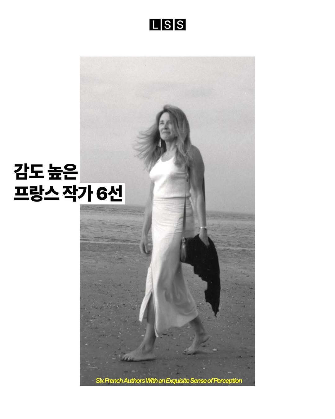 Photo by 마케터 임숲숲 on November 27, 2025. May be an image of poster, magazine, top and text that says 'LSS S 감도 감도높은 높은 프랑스 작가 작가6선 6선 SifFurthutuslitoses SixFrenc With Exquisite Sense ofPerception'.